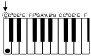 CASIO CTK-691 - Accompagnement automatique - 1