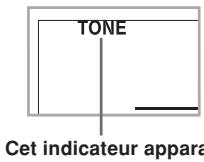 TONE Cet indicateur appara