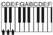 CASIO CTK-800 - Types d'accords - 3