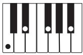 CASIO CTK-800 - REMARQUE - 9