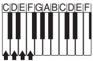 CASIO CTK-800 - Types d'accords - 4