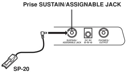 CASIO CTK-800 - Prise sustain/assignable - 1