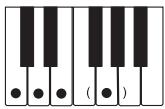 CASIO CTK-800 - REMARQUE - 12