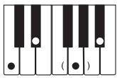 CASIO CTK-800 - REMARQUE - 7