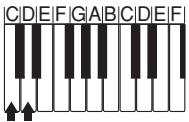 CASIO CTK-800 - Types d'accords - 2