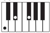 CASIO CTK-800 - REMARQUE - 3