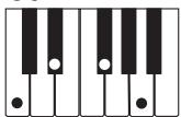 CASIO CTK-800 - REMARQUE - 15