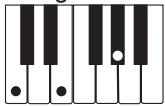 CASIO CTK-800 - REMARQUE - 4