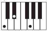 CASIO CTK-800 - REMARQUE - 2