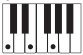 CASIO CTK-800 - REMARQUE - 1