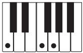CASIO CTK-800 - REMARQUE - 5