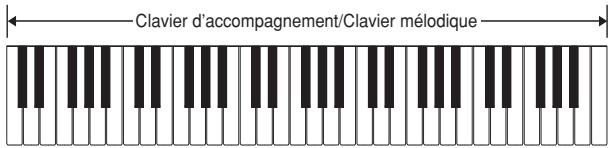 Clavier d'accompagnement/Clavier mélodique