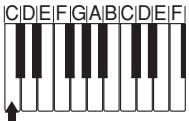 CASIO CTK-800 - Types d'accords - 1