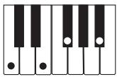CASIO CTK-800 - REMARQUE - 10