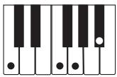 CASIO CTK-800 - REMARQUE - 11