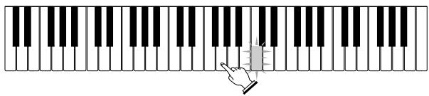 CASIO LK-200S - Jouer au clavier - 5
