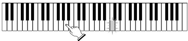 CASIO LK-200S - Etape 1 - Maîtriser la cadence - 3