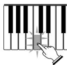 CASIO LK-200S - Jouer au clavier - 6