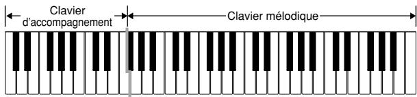 CASIO LK-200S - Clavier d'accompagnement et clavier mélodouble FINGERED - 1