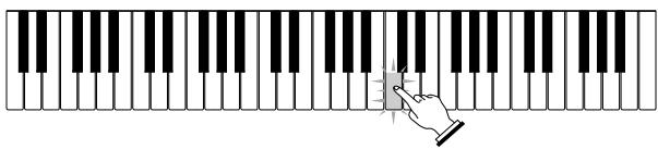 CASIO LK-200S - Etape 2 - Maîtriser les notes - 2