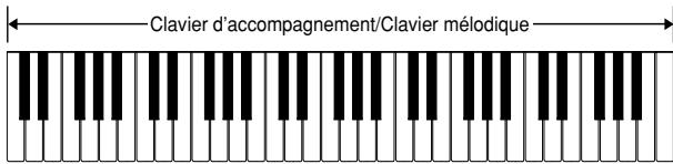 CASIO LK-55 - FULL RANGE CHORD - 1