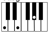CASIO LK-55 - REMARQUE - 4