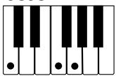 CASIO LK-55 - REMARQUE - 5