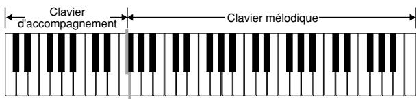 CASIO LK-55 - FINGERED - 1