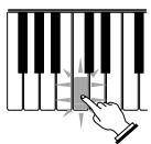 CASIO LK-55 - Jouer au clavier - 8