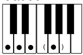 CASIO LK-55 - REMARQUE - 12