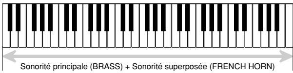 CASIO LK-55 - SUPERPOSITION - 1