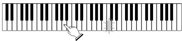CASIO LK-55 - Etape 1 - Maîtriser la cadence - 3
