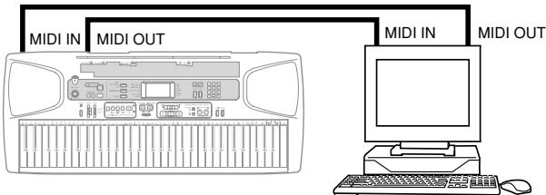 CASIO LK-55 - Connexions MIDI - 1