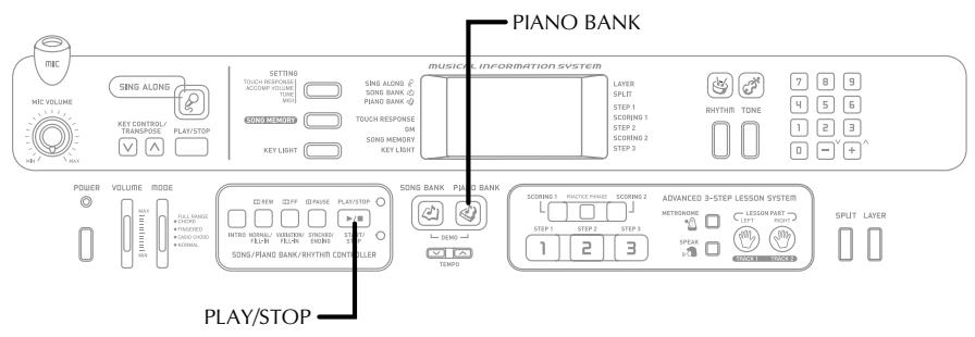 CASIO LK-55 - S'exercer au piano - 1