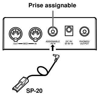 CASIO LK-55 - Prise assignable - 1