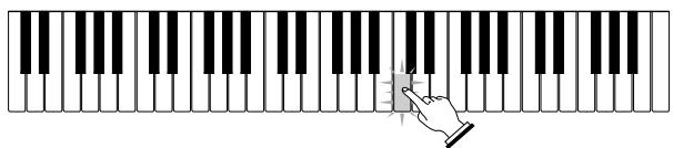 CASIO LK-55 - Etape 2 - Maîtriser les notes - 2