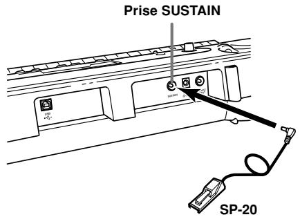 CASIO LK-70S - Prise SUSTAIN - 1