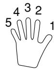 CASIO LK-70S - Carte des accords doigtés (FINGERED) - 1