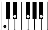 CASIO LK-70S - Utilisation du doigté standard - 9