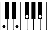 CASIO LK-70S - Utilisation du doigté standard - 10