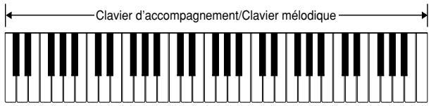 CASIO LK-90TV - FULL RANGE CHORD - 1