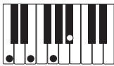 CASIO PX-300 - PREPARATIFS - 6