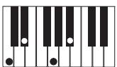 CASIO PX-300 - PREPARATIFS - 7