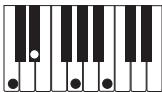 CASIO PX-300 - PREPARATIFS - 14