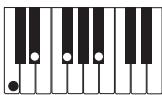 CASIO PX-300 - PREPARATIFS - 9