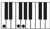 CASIO PX-300 - PREPARATIFS - 5