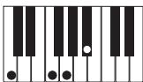 CASIO PX-300 - PREPARATIFS - 11