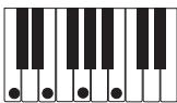 CASIO PX-300 - PREPARATIFS - 8