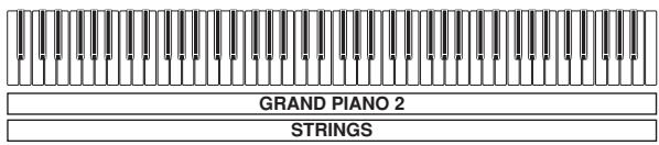 CASIO PX-300 - PREPARATIFS - 3