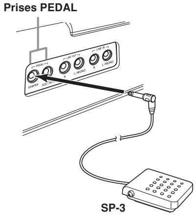 CASIO PX-300 - Raccordement à une prise PEDAL - 1